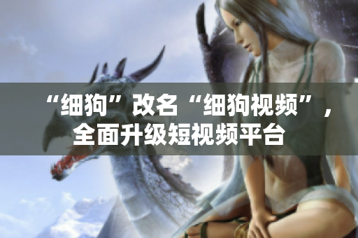 “细狗”改名“细狗视频”，全面升级短视频平台