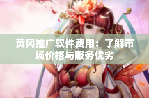 黄冈推广软件费用：了解市场价格与服务优劣