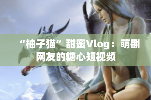 “柚子猫”甜蜜Vlog：萌翻网友的糖心短视频