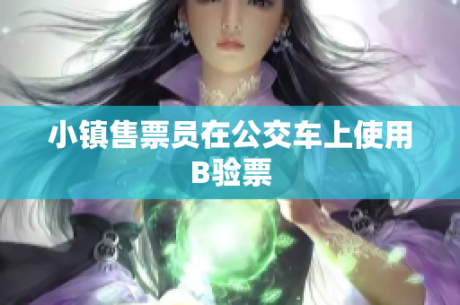 小镇售票员在公交车上使用B验票