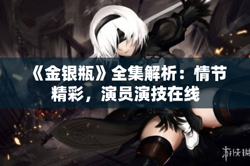 《金银瓶》全集解析：情节精彩，演员演技在线