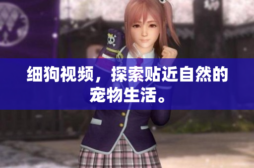 细狗视频，探索贴近自然的宠物生活。