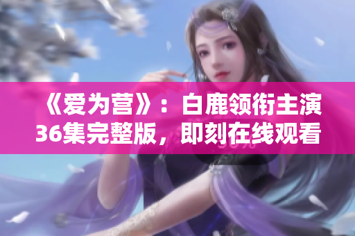 《爱为营》：白鹿领衔主演36集完整版，即刻在线观看