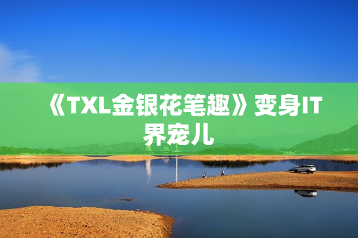 《TXL金银花笔趣》变身IT界宠儿