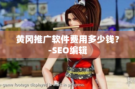 黄冈推广软件费用多少钱？-SEO编辑