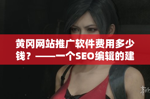 黄冈网站推广软件费用多少钱？——一个SEO编辑的建议