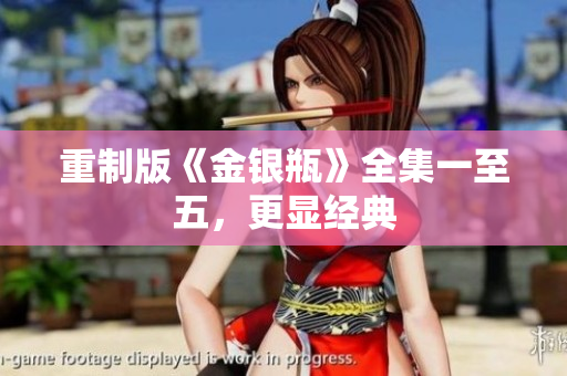 重制版《金银瓶》全集一至五，更显经典