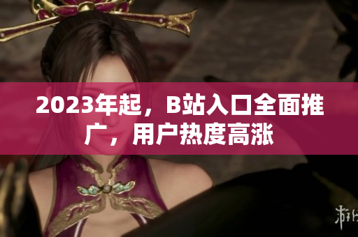 2023年起，B站入口全面推广，用户热度高涨