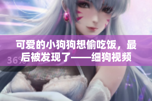 可爱的小狗狗想偷吃饭，最后被发现了——细狗视频