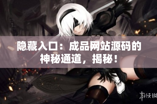 隐藏入口：成品网站源码的神秘通道，揭秘！