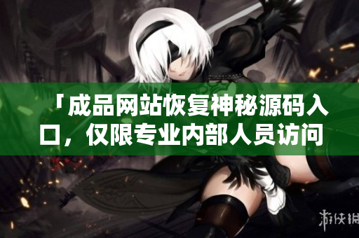 「成品网站恢复神秘源码入口，仅限专业内部人员访问」