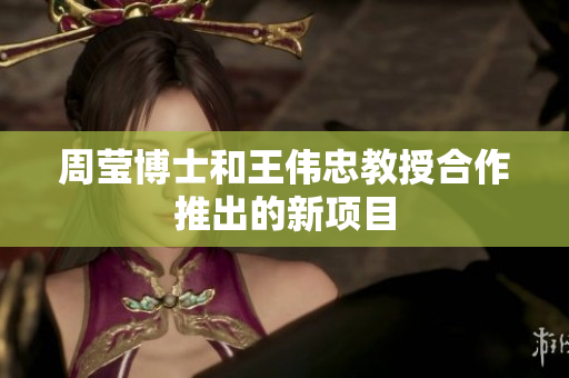 周莹博士和王伟忠教授合作推出的新项目