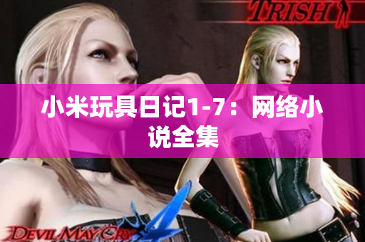 小米玩具日记1-7：网络小说全集