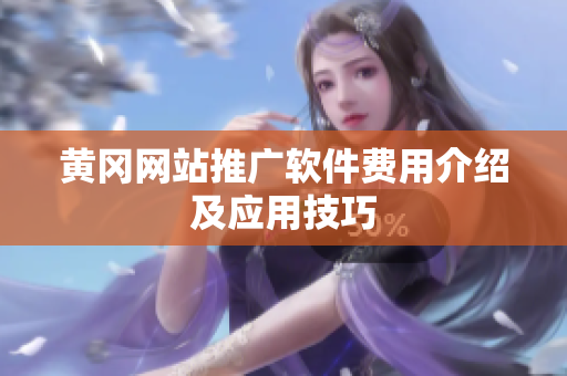 黄冈网站推广软件费用介绍及应用技巧