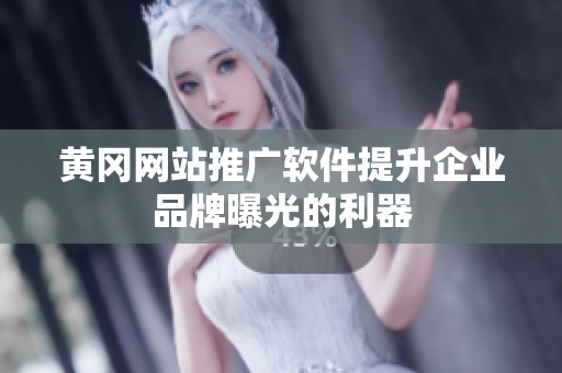 黄冈网站推广软件提升企业品牌曝光的利器