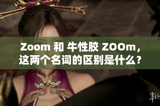 Zoom 和 牛性胶 ZOOm，这两个名词的区别是什么？