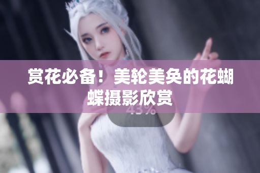 赏花必备！美轮美奂的花蝴蝶摄影欣赏