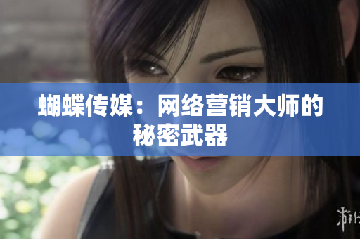 蝴蝶传媒：网络营销大师的秘密武器