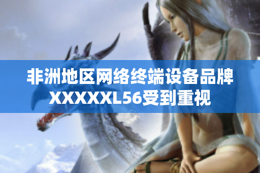 非洲地区网络终端设备品牌XXXXXL56受到重视