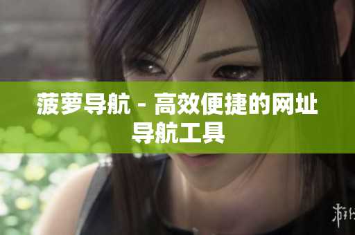 菠萝导航 - 高效便捷的网址导航工具