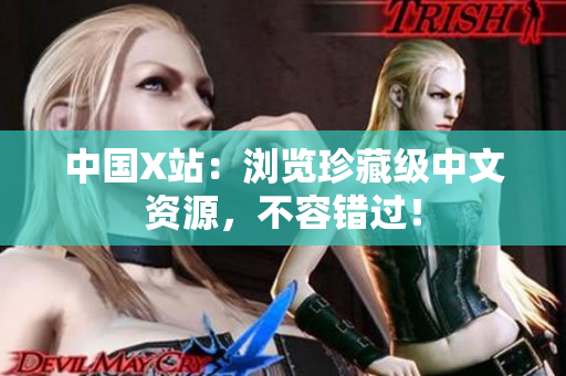 中国X站：浏览珍藏级中文资源，不容错过！