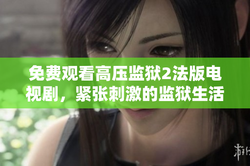 免费观看高压监狱2法版电视剧，紧张刺激的监狱生活令人着迷！