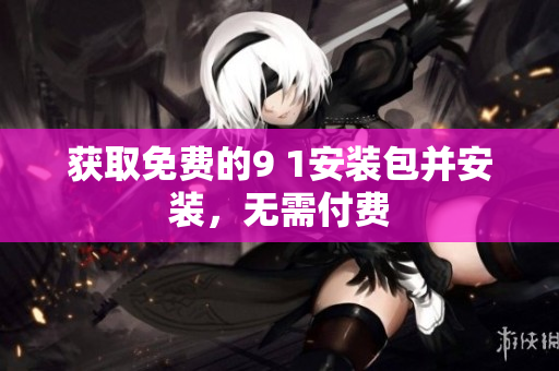 获取免费的9 1安装包并安装，无需付费
