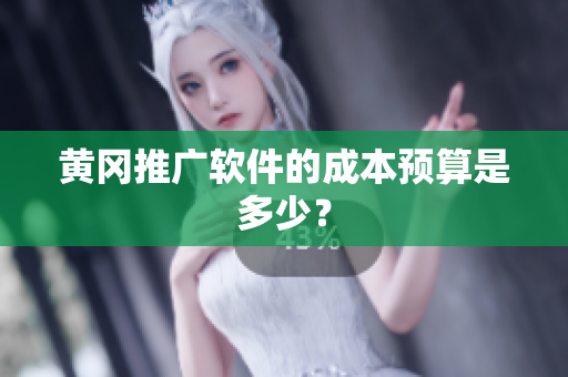 黄冈推广软件的成本预算是多少？