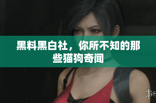 黑料黑白社，你所不知的那些猫狗奇闻