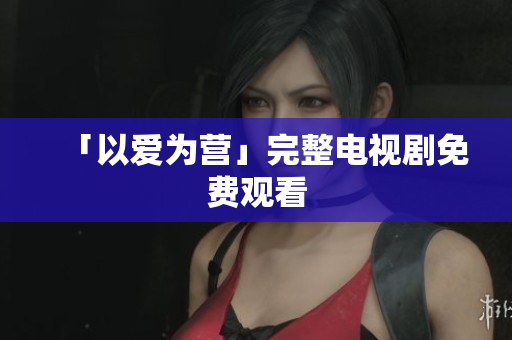 「以爱为营」完整电视剧免费观看