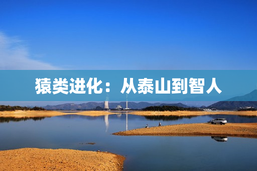 猿类进化：从泰山到智人