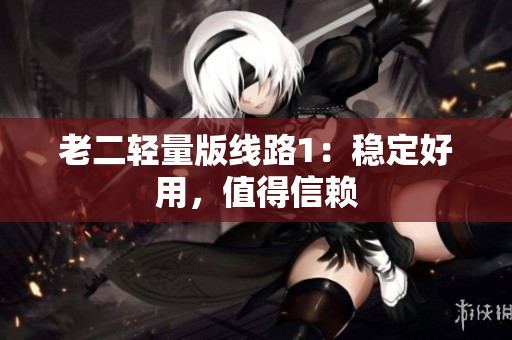 老二轻量版线路1：稳定好用，值得信赖