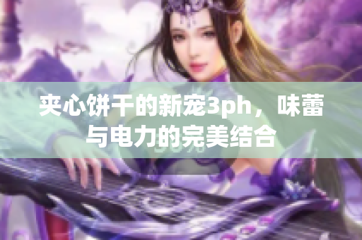 夹心饼干的新宠3ph，味蕾与电力的完美结合
