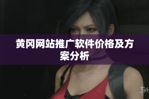 黄冈网站推广软件价格及方案分析