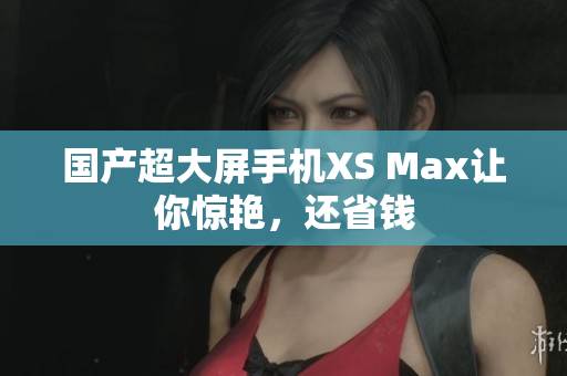 国产超大屏手机XS Max让你惊艳，还省钱