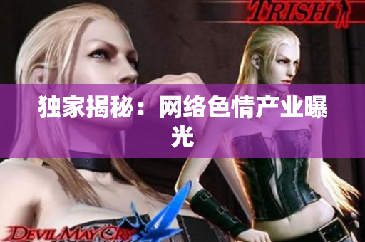 独家揭秘：网络色情产业曝光