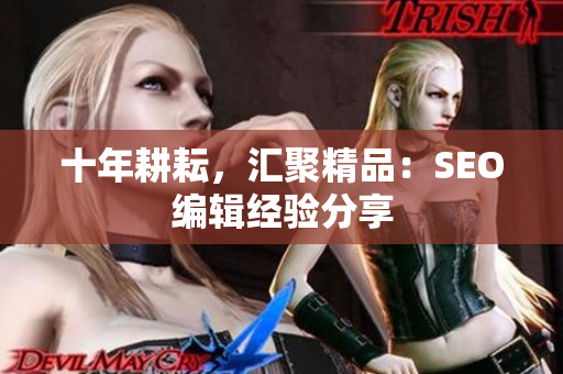 十年耕耘，汇聚精品：SEO编辑经验分享