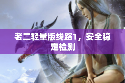 老二轻量版线路1，安全稳定检测