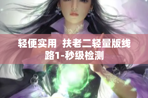 轻便实用  扶老二轻量版线路1-秒级检测