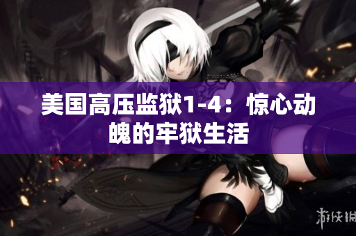 美国高压监狱1-4：惊心动魄的牢狱生活