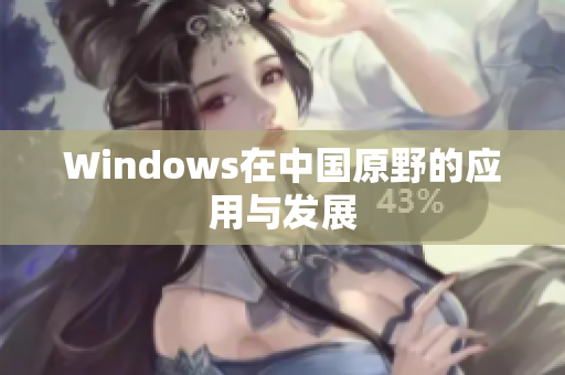 Windows在中国原野的应用与发展