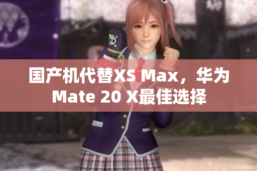 国产机代替XS Max，华为Mate 20 X最佳选择