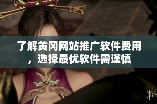了解黄冈网站推广软件费用，选择最优软件需谨慎