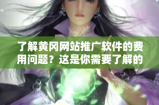 了解黄冈网站推广软件的费用问题？这是你需要了解的！
