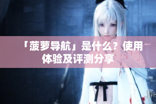 「菠萝导航」是什么？使用体验及评测分享