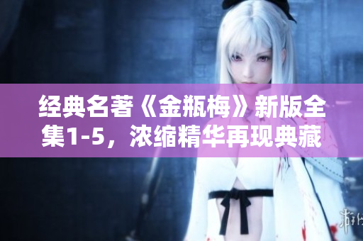 经典名著《金瓶梅》新版全集1-5，浓缩精华再现典藏珍藏！