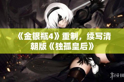 《金银瓶4》重制，续写清朝版《独孤皇后》