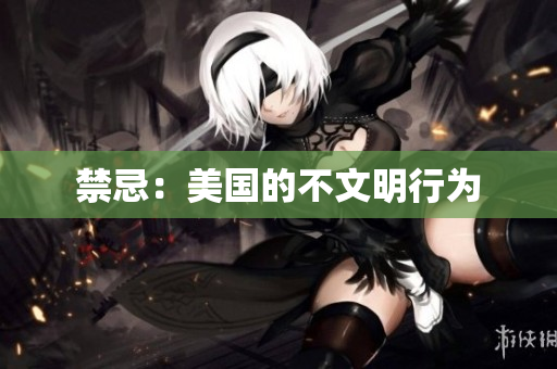 禁忌：美国的不文明行为