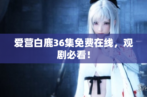 爱营白鹿36集免费在线，观剧必看！