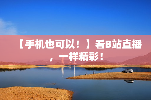 【手机也可以！】看B站直播，一样精彩！